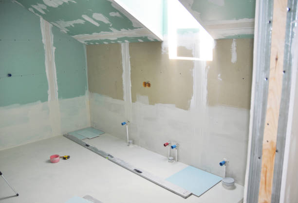 Best Post-Construction Mold Inspection  in Palm Harbor, FL