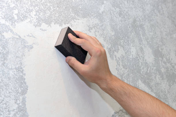 Best Flood Damage  in Palm Harbor, FL