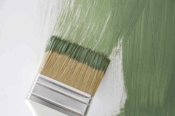 Mold Odor Removal Services in Palm Harbor, FL