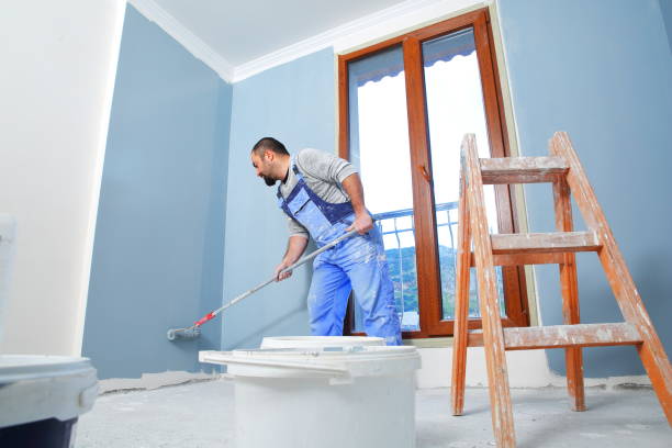 Mold Documentation for Insurance Claims in Palm Harbor, FL