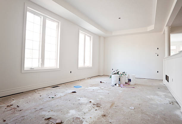 Best Mold Removal for HVAC Installations  in Palm Harbor, FL