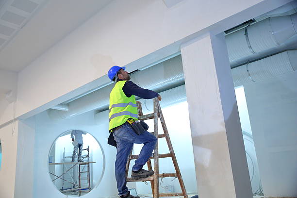 Best Real Estate Mold Inspection  in Palm Harbor, FL