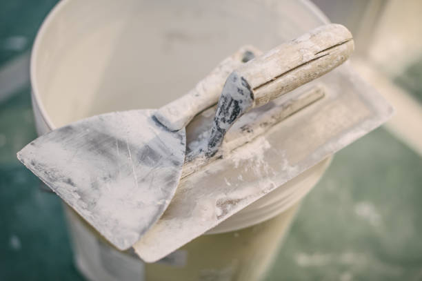 Best Mold Damage Restoration  in Palm Harbor, FL